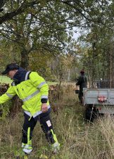 planting av trær Emmerstadbekken