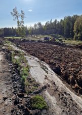 Tørfest åpent kammer