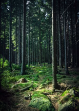 photo-1680551294585-891c84bf6d43