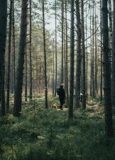 ruta-celma-t_c6AaJNk4g-unsplash ruta-celma-t_c6AaJNk4g-unsplash